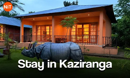 3.3 overnight stay in Kaziranga