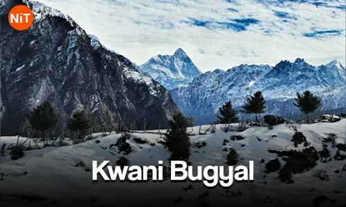 3.5 Kwani Bugyal
