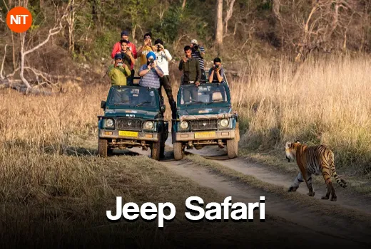 4.1 Jeep Safari at Corbett National Park