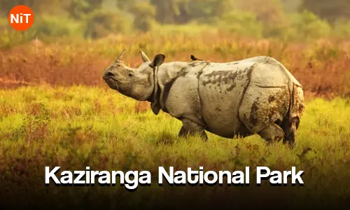 4.1 Kaziranga National Park