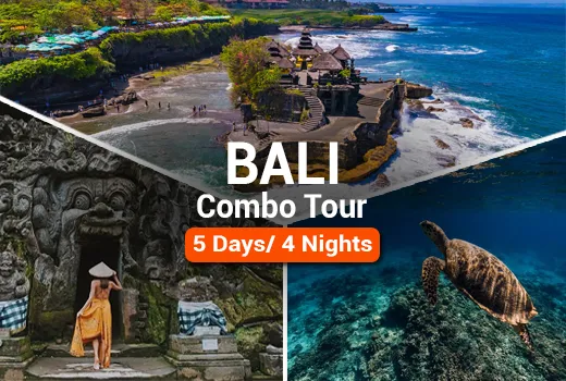 Best of Bali Tour Package