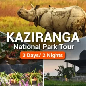 Kaziranga National Park Tour Package