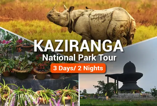 Kaziranga National Park Tour Package