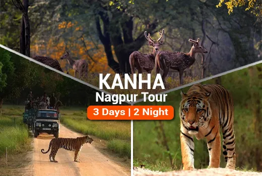 Kanha Nagpur Tour Package