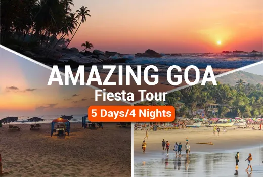 Amazing Goa Fiesta Tour
