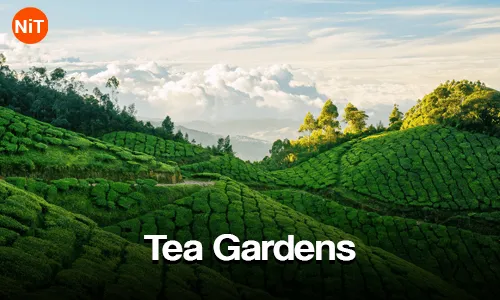 Kerala & Tamil Nadu Travel Package