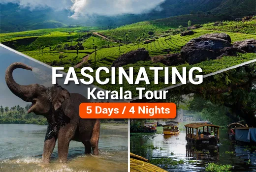Fascinating Kerala Tour Package