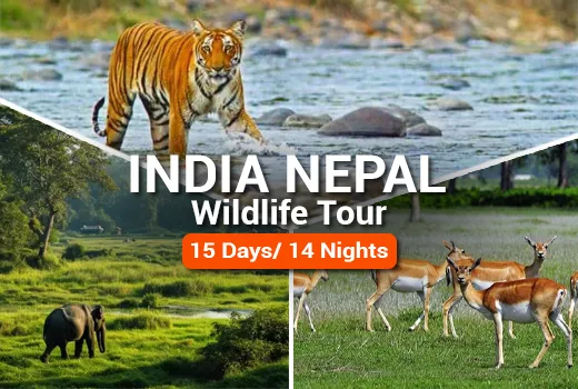 India Nepal Wildlife