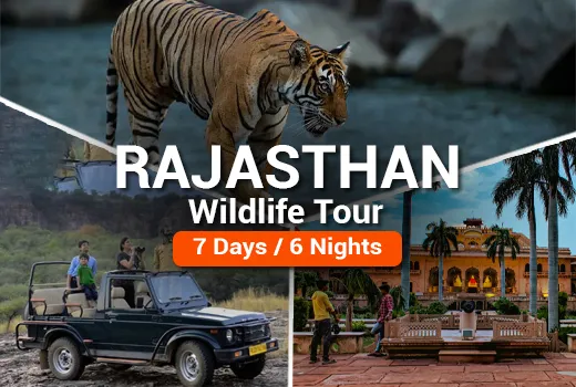 Rajasthan Wildlife Tour Package