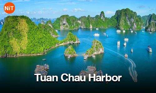 DAY 03- Hanoi - Halong Day Cruise - Hanoi