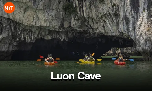 DAY 03- Hanoi - Halong Day Cruise - Hanoi