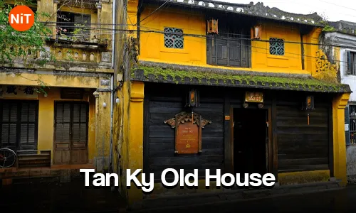 DAY 05- Da Nang - Son Tra Peninsula - Linh Ung Pagoda - Cam Thanh Coconut Forest - Hoi An Ancient Town