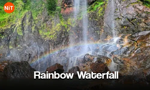 DAY 06- Danang - Bana Hills (Golden Bridge) - Danang