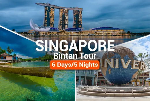 Singapore Bintan Tour Package