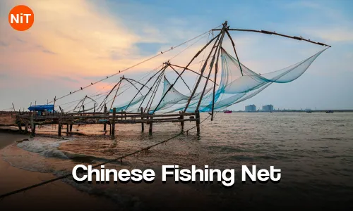 Cochin Munnar Thekkady Alleppey Tour