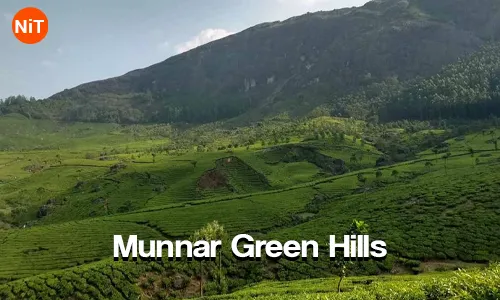 Cochin Munnar Thekkady Alleppey Tour