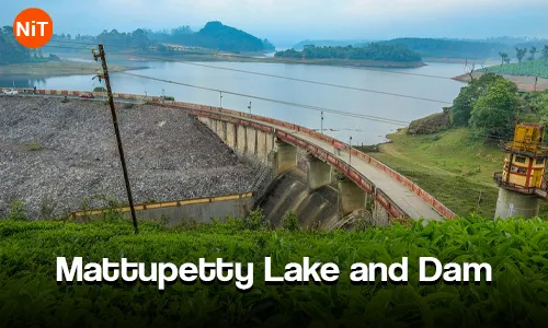 Cochin Munnar Thekkady Alleppey Tour