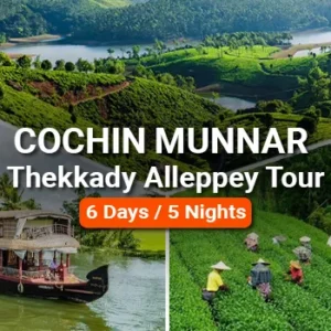 Cochin Munnar Thekkady Alleppey Tour