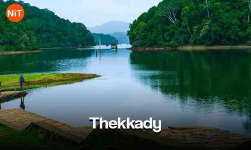 Cochin Munnar Thekkady Alleppey Tour